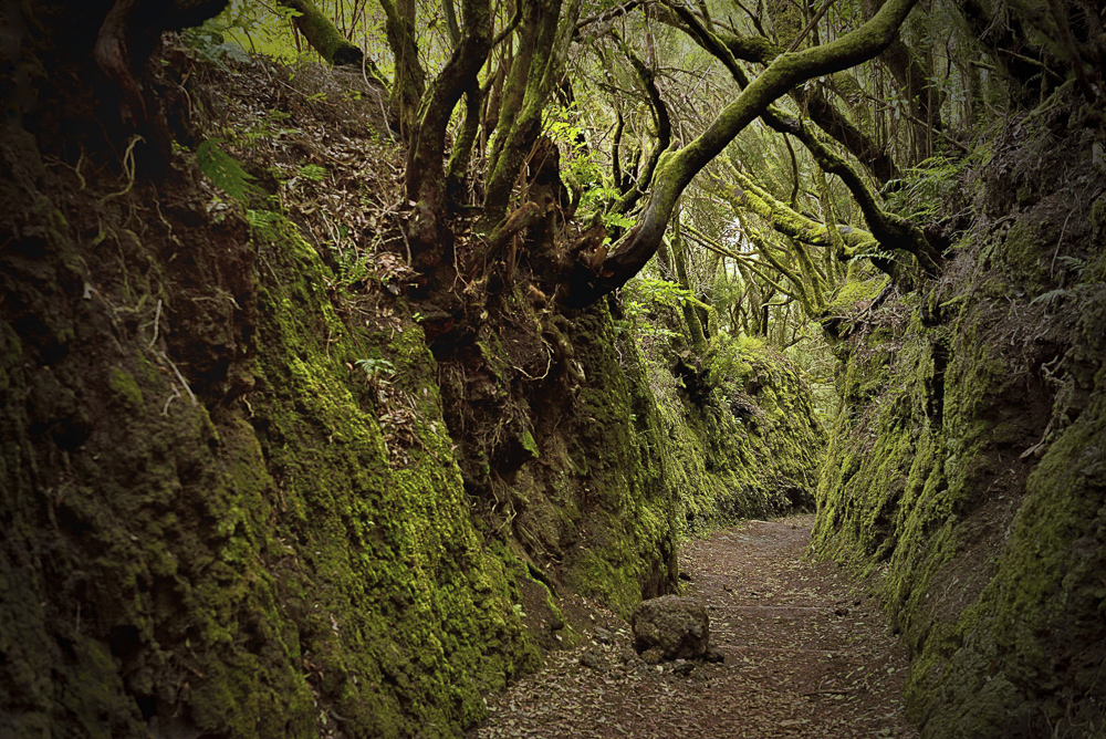 Platz 12 Franz Mueller